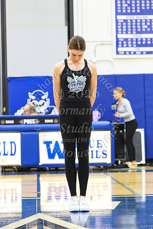 WHS_dn_11