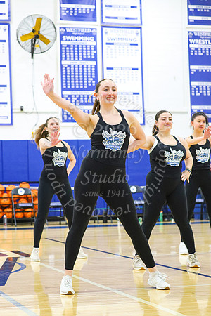 WHS_dn_13