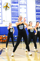 WHS_dn_14