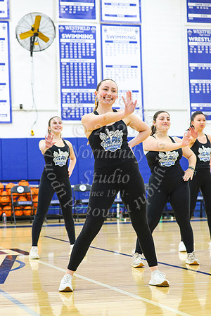 WHS_dn_14