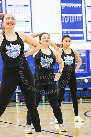 WHS_dn_15