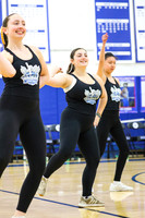 WHS_dn_17
