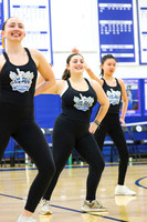 WHS_dn_16