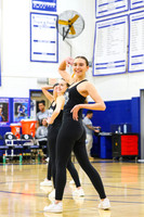 WHS_dn_18
