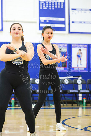 WHS_dn_19