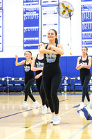 WHS_dn_20