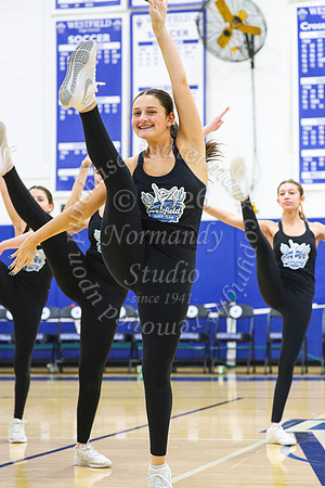 WHS_dn_21