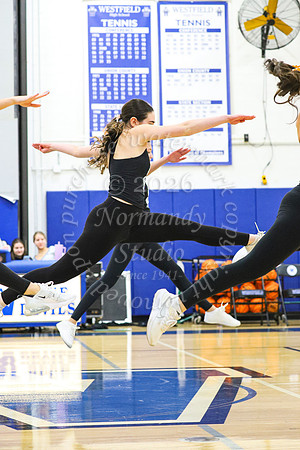 WHS_dn_29