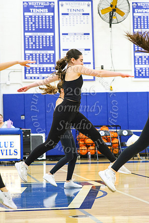 WHS_dn_30