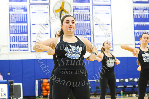 WHS_dn_43