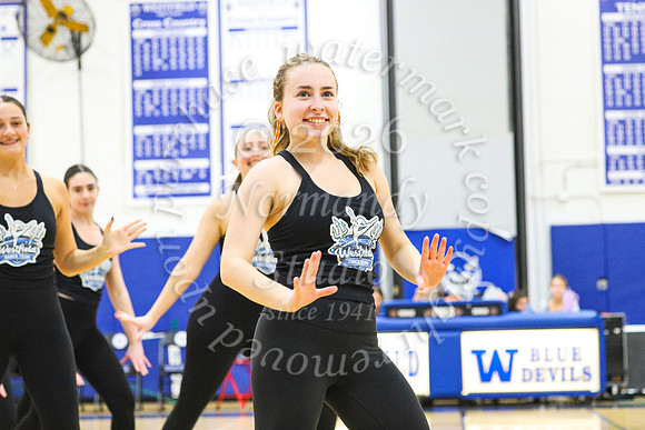 WHS_dn_45