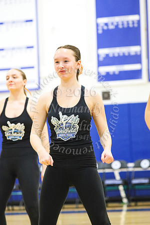 WHS_dn_46