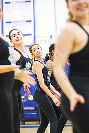 WHS_dn_48