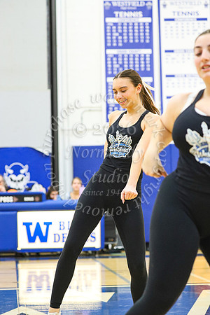WHS_dn_49
