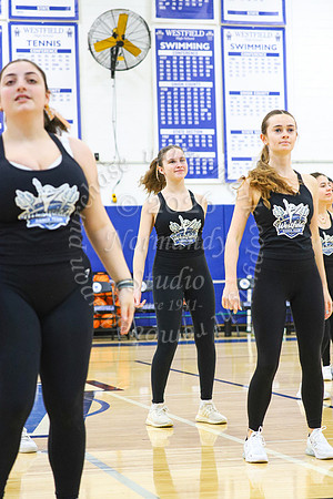 WHS_dn_50
