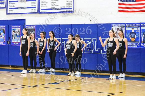 WHS_dn_03