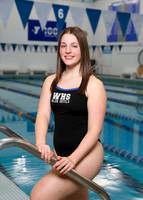 WHS_sw-g-ind_03