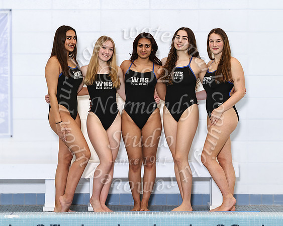 WHS_sw-g-t_11