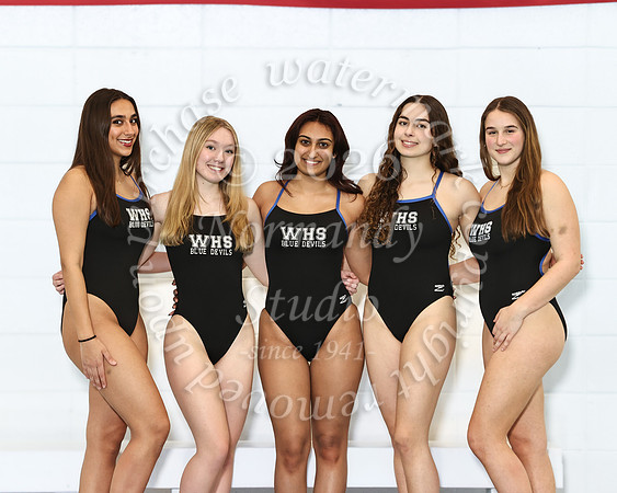 WHS_sw-g-t_13