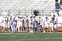 SHP_fb-f_19