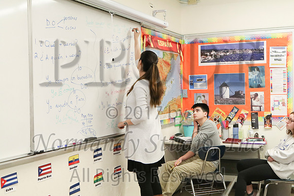 WHS_030_slc