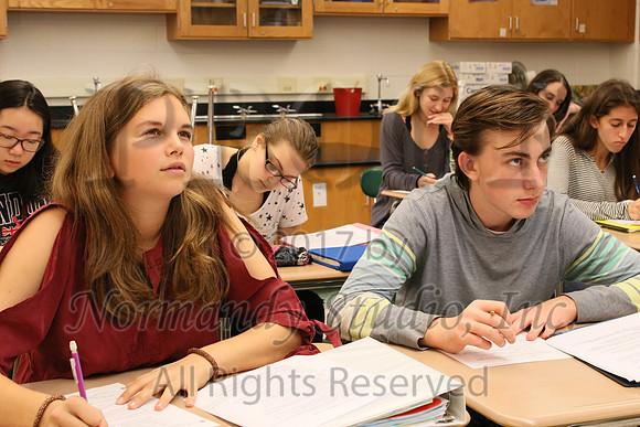 WHS_047_slc