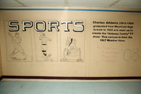 WHS_001_slc