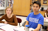 WHS_009_slc