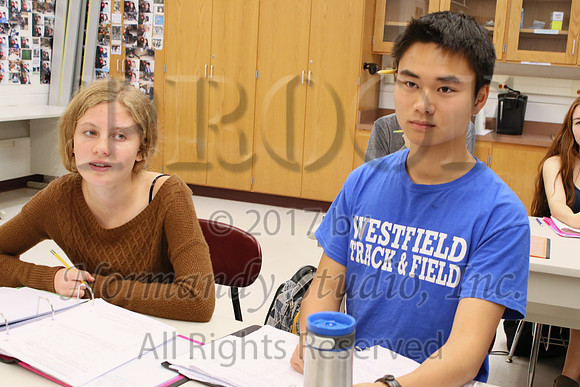 WHS_009_slc