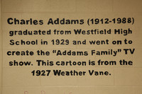 WHS_003_slc