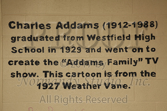 WHS_003_slc