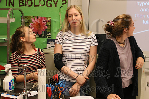 WHS_043_slc