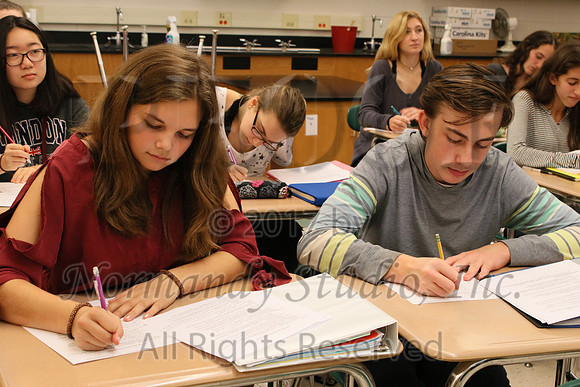 WHS_046_slc