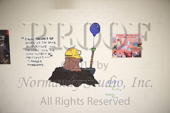 WHS_002_slc