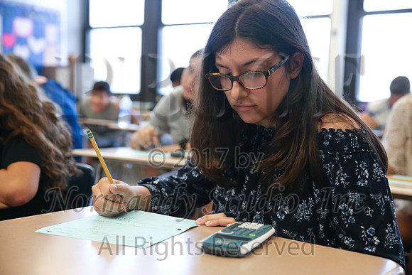 WHS_048_slc