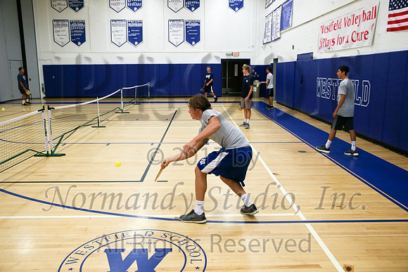 WHS_005_slc