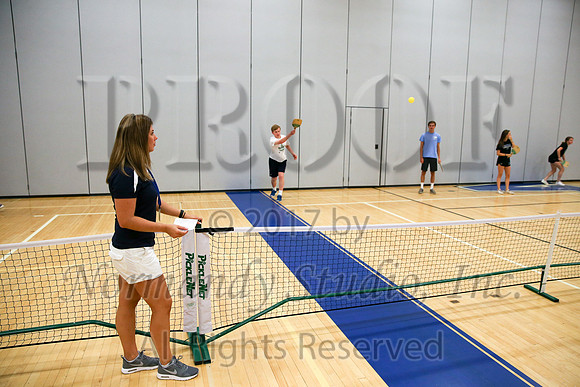 WHS_004_slc
