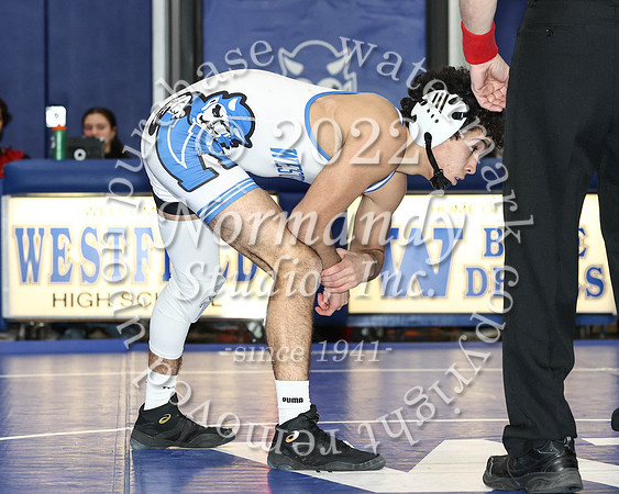 WHS_wr_38
