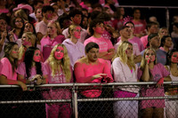 DVH_fans_02