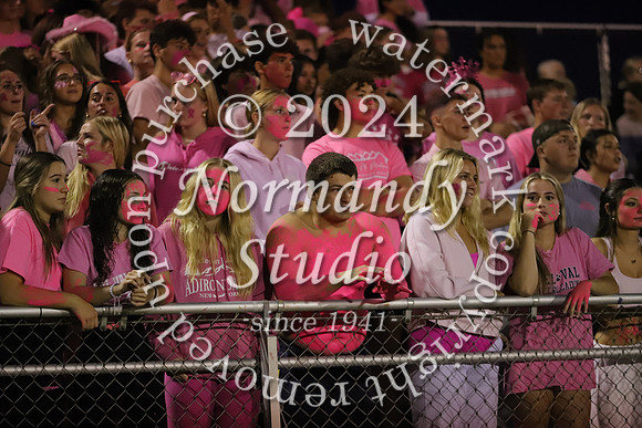 DVH_fans_02