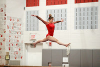 JAC-LIB_gy_20