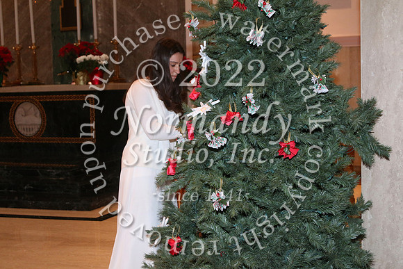 MSM_tree blessing_22