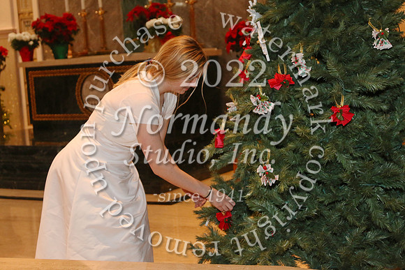 MSM_tree blessing_21