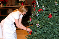 MSM_tree blessing_20