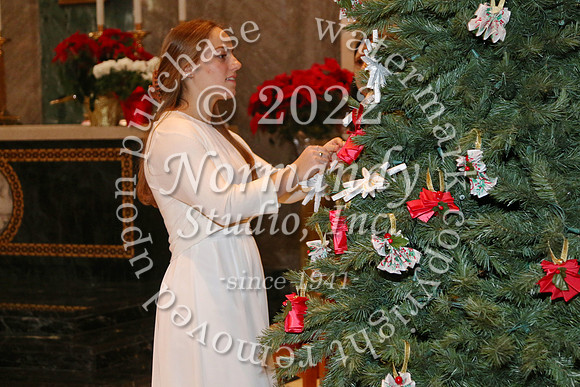 MSM_tree blessing_23