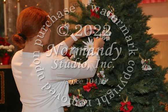 MSM_tree blessing_28