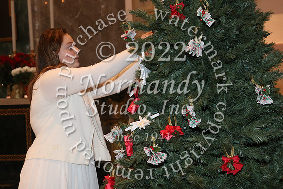 MSM_tree blessing_25