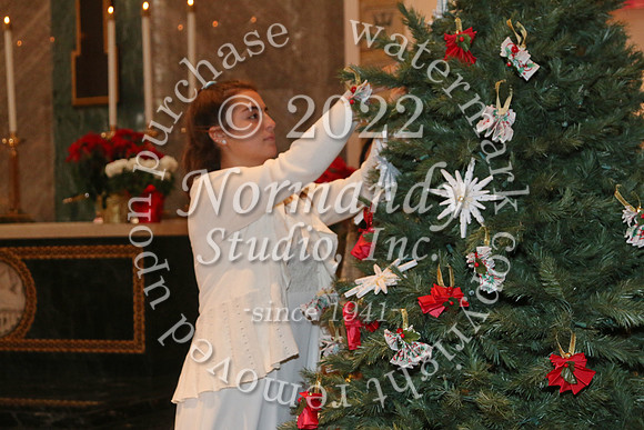 MSM_tree blessing_30
