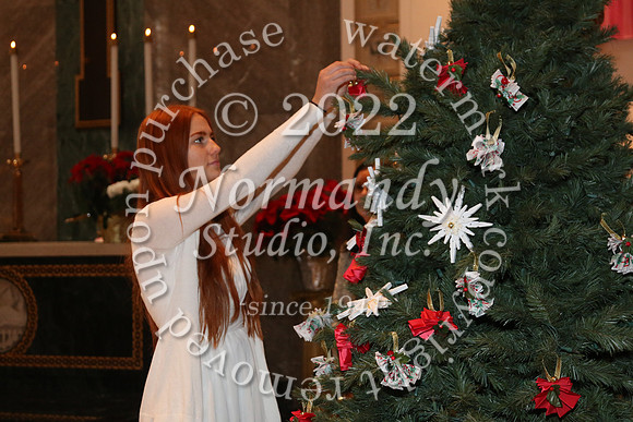 MSM_tree blessing_31