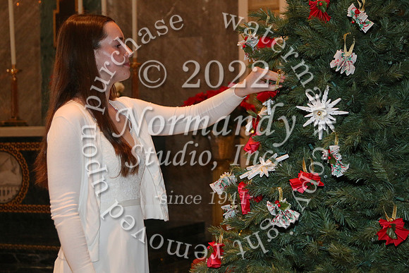 MSM_tree blessing_34